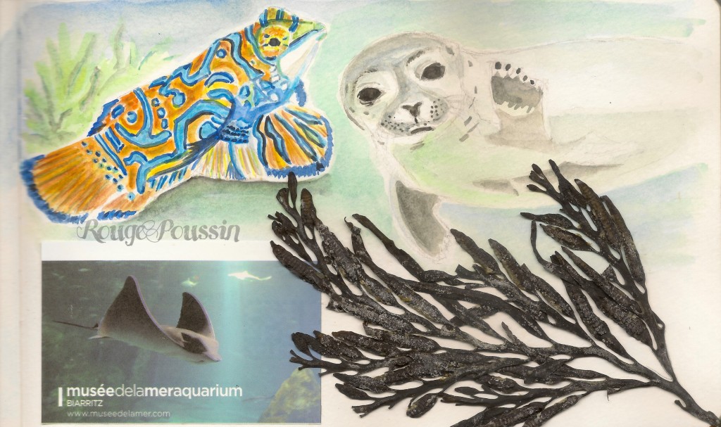 Aquarium de Biarritz : extrait de mon carnet de vacances.
