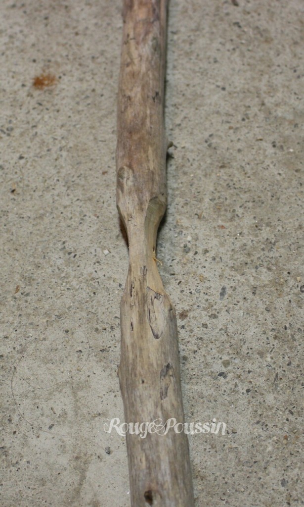 Une branche du sapin de noël en bois flotté
